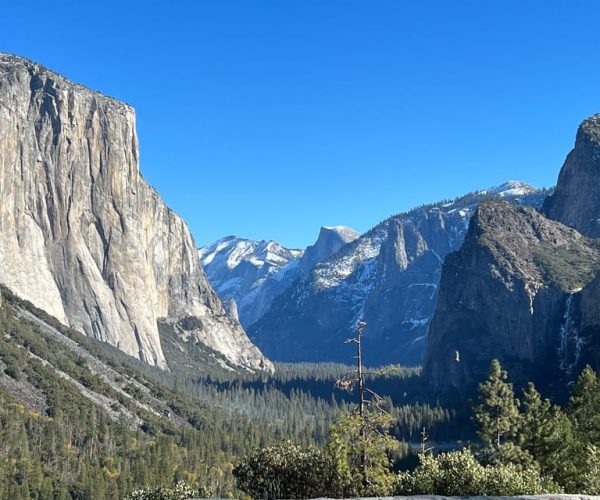 From San Francisco: Yosemite Private Full-Day Trip – California, California