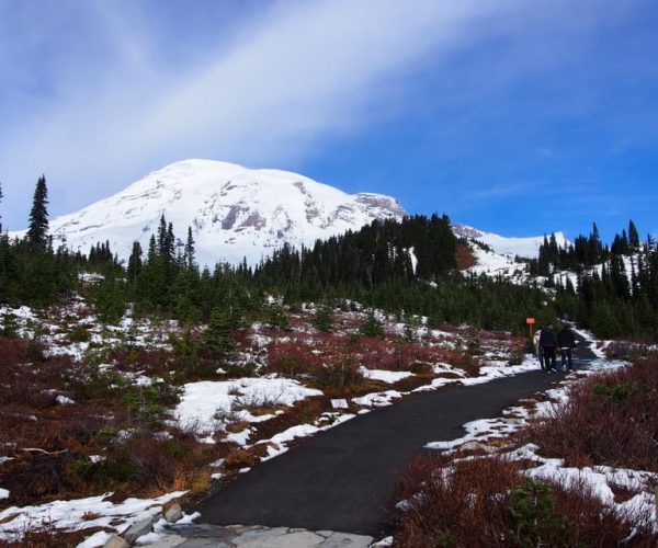 From Seattle: Mount Rainier Full-Day Tour – Jackson Memorial Visitor Center, Washington