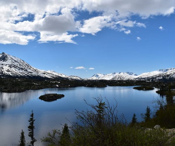 From Skagway: White Pass Summit Guided Bus Tour – Skagway, Alaska