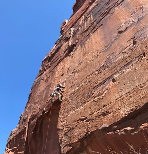 From Springdale: Half-Day Rock Climbing Experience – Springdale, Utah