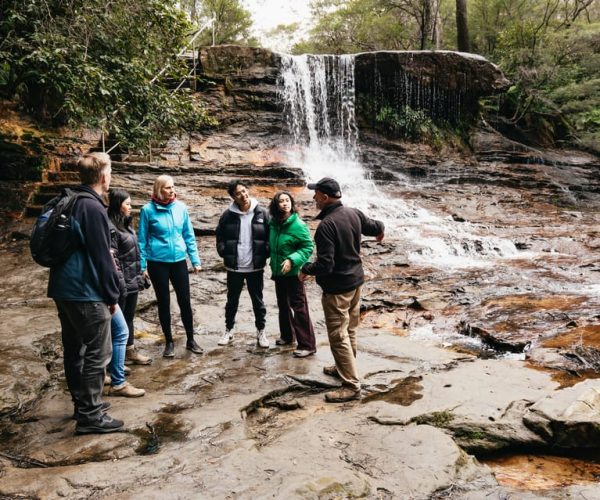 From Sydney: Blue Mountains Nature and Wildlife Tour – New South Wales, Australia