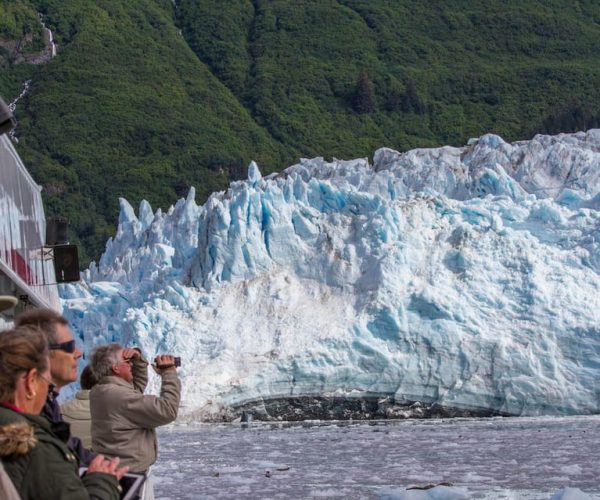 From Valdez: 7.5-hour Meares Glacier & Wildlife Cruise – Valdez, Alaska