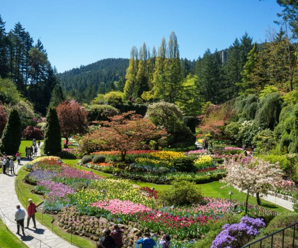 From Vancouver: Butchart Gardens & Victoria Sightseeing Tour – Vancouver, Canada