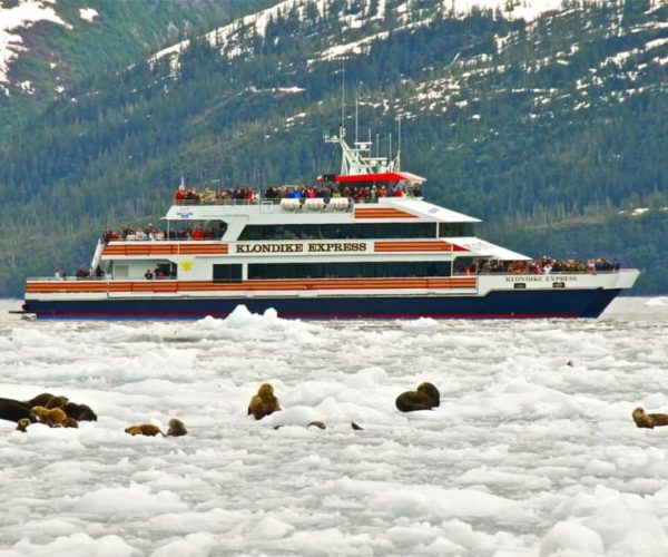 From Whittier/Anchorage: Prince William Sound Glacier Cruise – Prince William Sound, Alaska