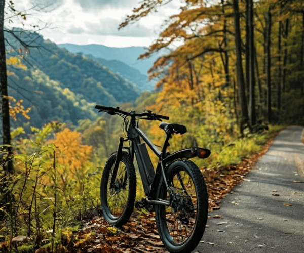 Gatlinburg: E-Bike Rentals – Gatlinburg, Tennessee