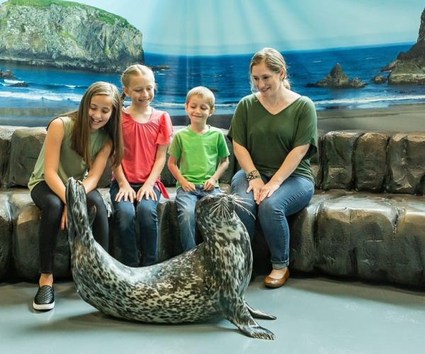 Georgia Aquarium: Harbor Seal Animal Encounter – Atlanta, Georgia