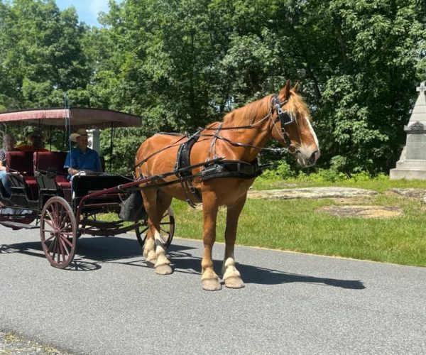 Gettysburg: Culp’s Hill Historical Carriage Ride Tour – Gettysburg, Pennsylvania