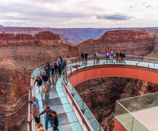 Grand Canyon Hoover Dam and Joshua Tree VIP Small Group Tour – Arizona’s Joshua Tree Forest, Arizona