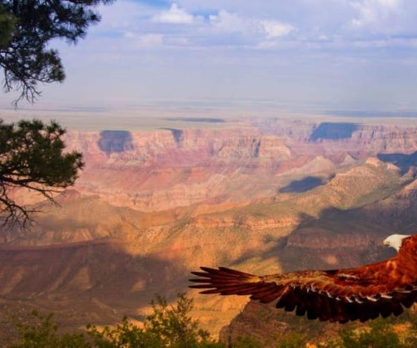 Grand Canyon West: 1-Day Entrance Ticket – Grand Canyon West Rim, Arizona