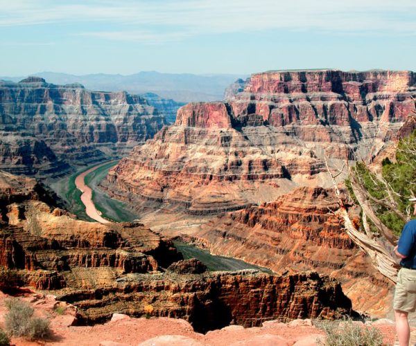 Grand Canyon West 5-in-1 Tour from Las Vegas – Arizona’s Joshua Tree Forest, Arizona