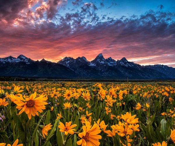 Grand Teton: Private Guided Tour (Sunset) – Grand Teton National Park, Wyoming