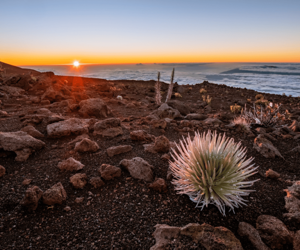 Haleakalā: Discover Volcanic Wonders Driving Tour – Hawaii, Hawaii