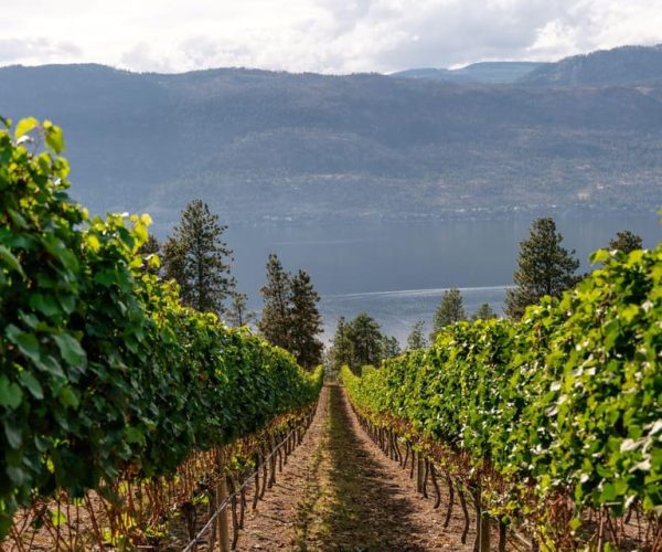 Half-Day Lake Country Wine Tour – Kelowna, Canada