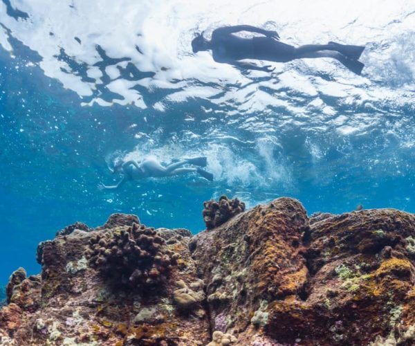 Hawaii: Pu’uhonua O Honaunau & Kealakekua Bay Snorkel Tour – Kealakekua Bay, Hawaii