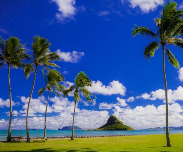 Hidden Gems of Oahu Circle Island Tour with Byodo-In Temple – Hawaii, Hawaii