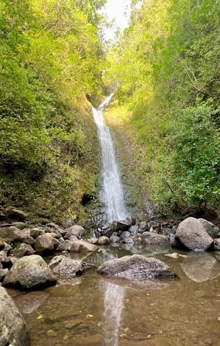 Hike – Dip in the Waterfall, Rainforest Trails (Pick up) – Honolulu, Hawaii