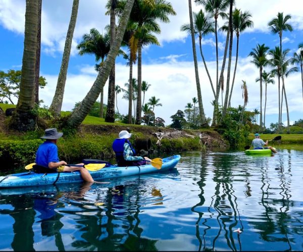 Hilo: Wailoa River to King Kamehameha Guided Kayaking Tour – Hilo, Hawaii