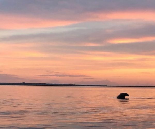 Hilton Head Island: Sunset Dolphin Watching Tour – Hilton Head Island, South Carolina