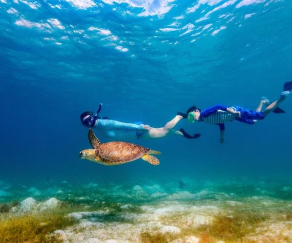 Honolulu: Hanauma Bay State Park Snorkeling Trip – Honolulu, Hawaii