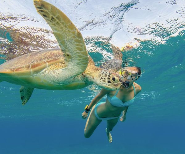 Honolulu: Snorkel with Turtles, Water Scooter, Paddleboard – Honolulu, Hawaii