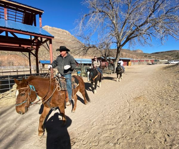 Horseback Ride thru Joshua Tree Forest with Buffalo & Lunch – Arizona’s Joshua Tree Forest, Arizona