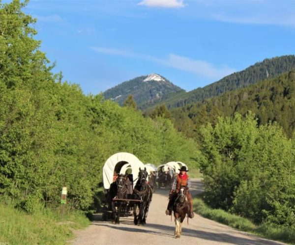 Jackson: Chuck Wagon Cookout and Live Show – Cache Creek Canyon Regional Park, California