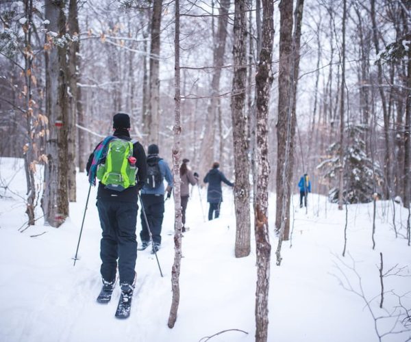 Jacques-Cartier National Park: Skiing Excursion – Quebec, Canada