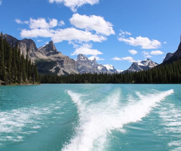 Jasper: Maligne Valley Wildlife Watching & Boat Tour – Alberta, Canada