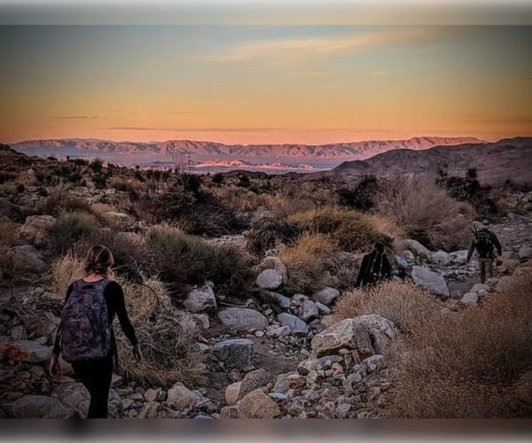 Joshua Tree: Half-Day Private Hike of the National Park – Joshua Tree National Park, California