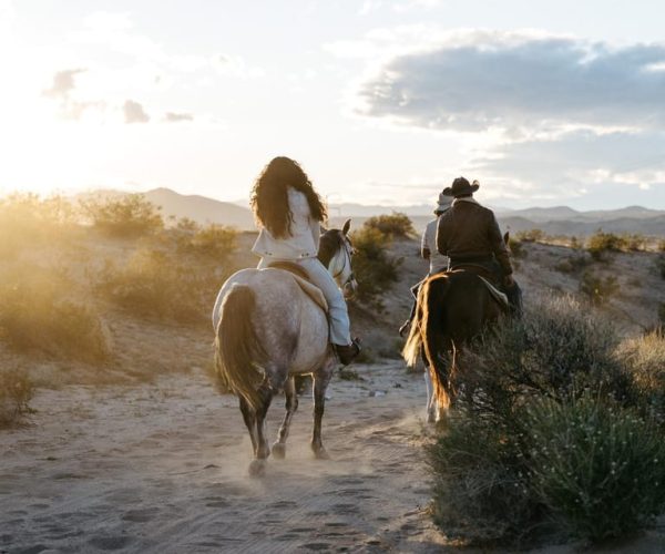 Joshua Tree: Horseback Trail Riding Adventure with a Guide – California, United States