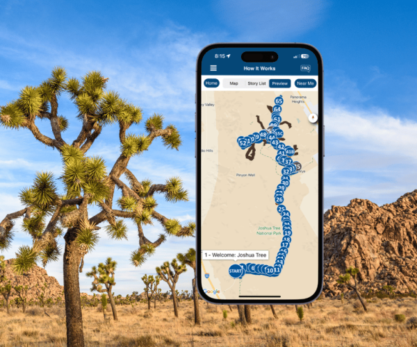 Joshua Tree National Park: Self-Driving Audio Tour – Joshua Tree National Park, California