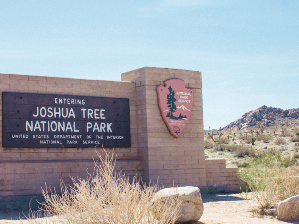 Joshua Tree National Park: Self-Guided Driving Tour – Joshua Tree National Park, California