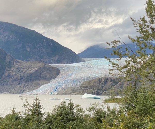 Juneau: Mendenhall Glacier and Whale Watching Tour – Alaska, United States