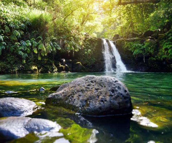 Kahului: Guided Rainforest and Waterfall Walk – Kahului, Hawaii