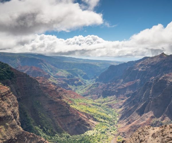 Kauai: Waimea Canyon and Koke’e State Park Tour – KMke»e State Park, Hawaii