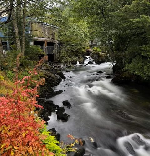 Ketchikan Photo Safari – Ketchikan, Alaska