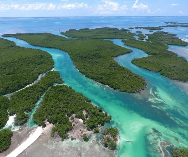 Key West: Eco Safari Sandbar Tour with Snorkeling – Key West, Florida