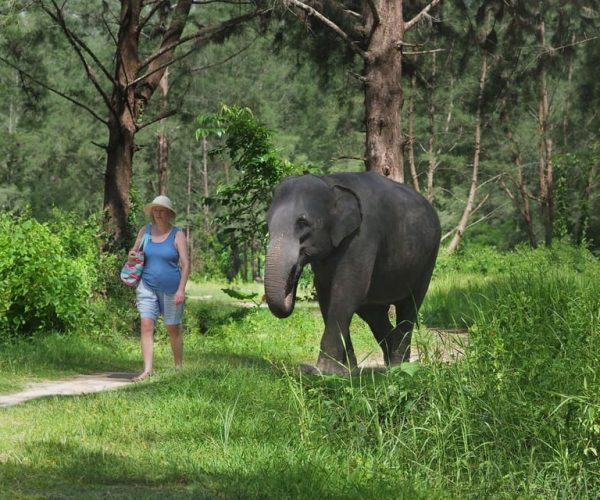 Khao Lak: Bamboo Rafting, Elephants, and Turtle Center Tour – Phang Nga Province, Thailand