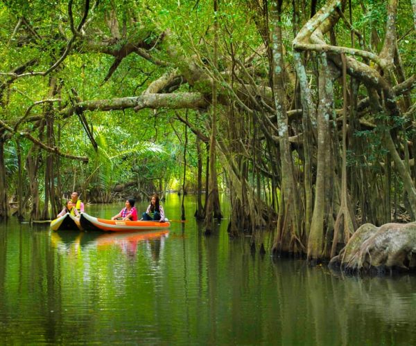 Khao Lak’s Little Amazon: Canoe, Trek & Waterfall Day Trip – Phang Nga Province, Thailand