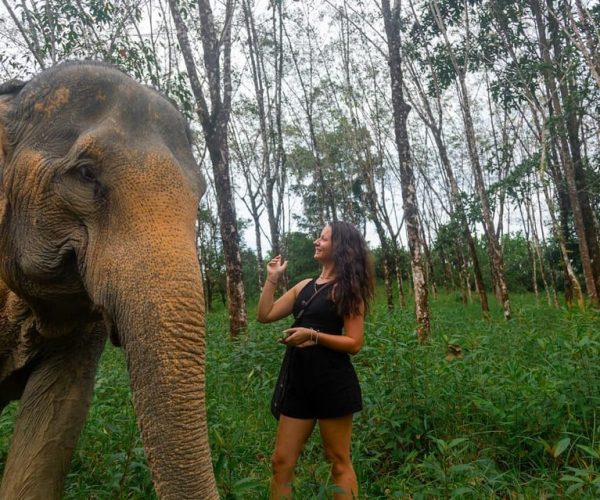 Khaolak: Begin the Day with Elephants – Walk and Feed Tour – Phang Nga Province, Thailand