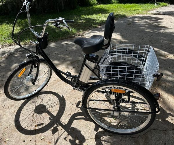 Kissimmee: 8-Hour All Electric Trike Lakefront Beach Tour – Shingle Creek, Florida