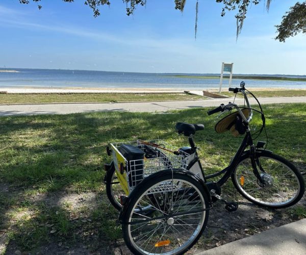 Kissimmee: Experience Wild Florida Nature All Electric Trike – Shingle Creek, Florida