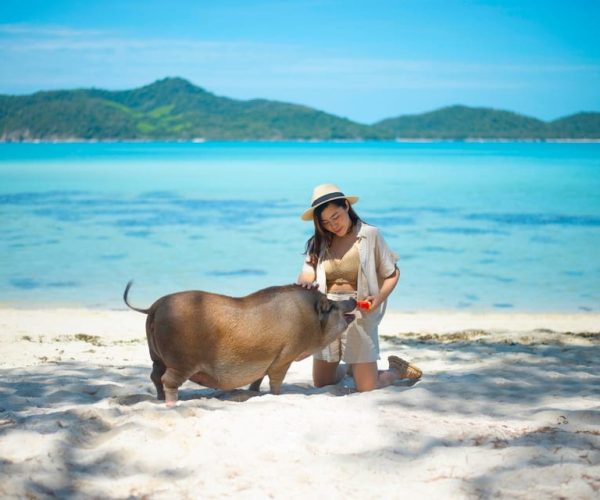 Koh Samui: Private Longtail Tour to Pig Island with Snorkel – Surat Thani Province, Thailand