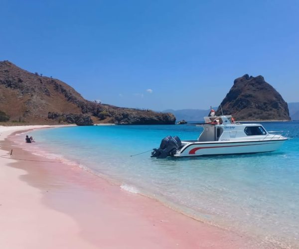 Komodo Tour : Full Day Private Speedboat all In Package – Komodo Island, Indonesia