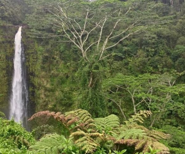 Kona: Big Island Big Volcano Adventure – Hawaii Volcanoes National Park, Hawaii