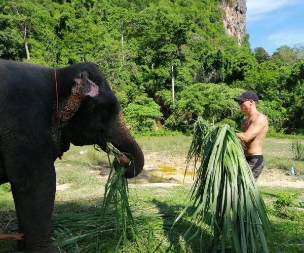 Krabi: Elephant Bathing & ATV Adventure Combo – Krabi Province, Thailand