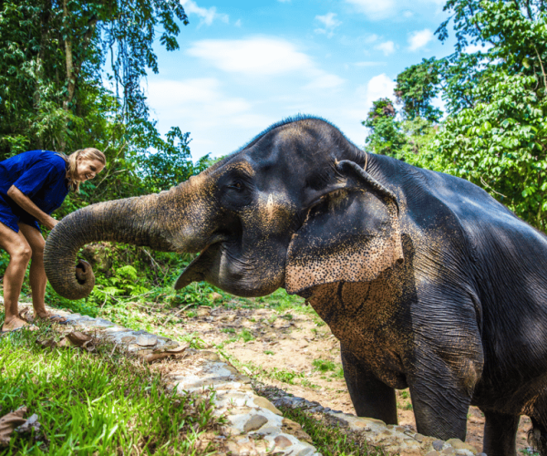 Krabi: Ethical Elephant Sanctuary Experience – Krabi, Thailand