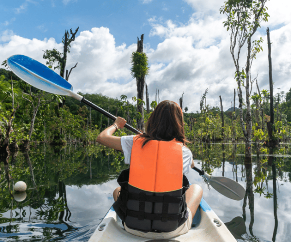 Krabi: South Kayak Klong Root Kayaking Tour – Krabi Province, Thailand