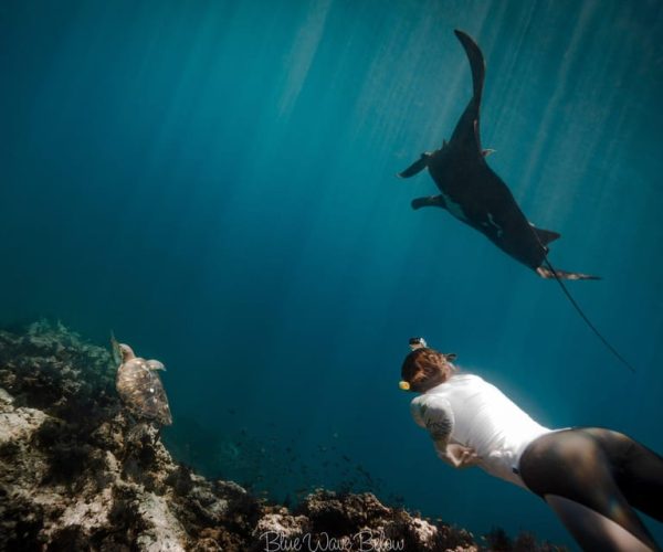 La Ventana: Manta Ray Snorkeling Adventure – Cabo San Lucas, Mexico