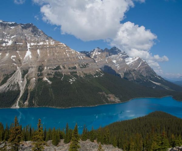 Lake Louise, Moraine Lake and Peyto Lake Full Day Tour – Crowfoot Glacier Viewpoint, Canada